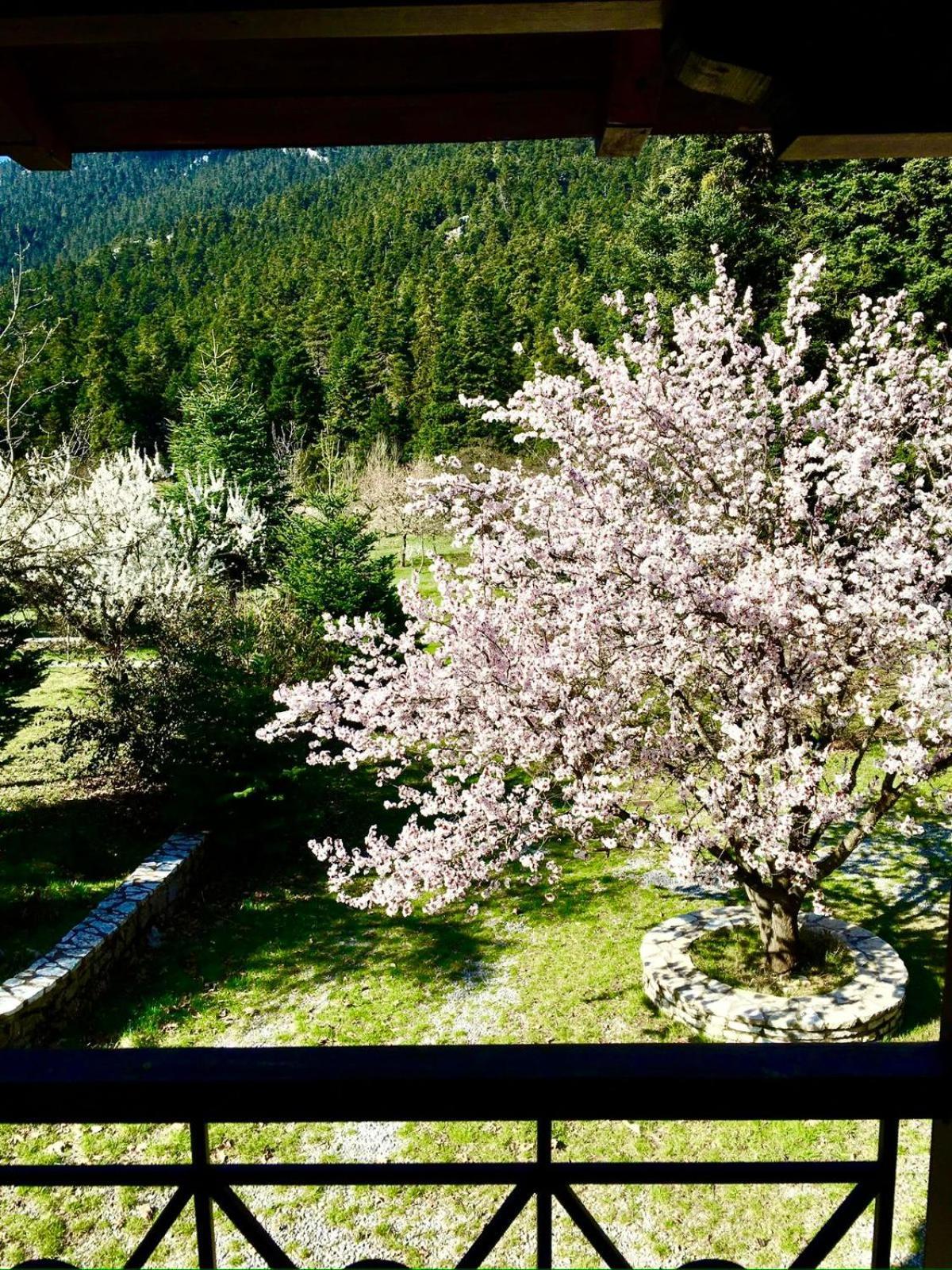 Alpine Escape Maisonette By Ski Alure Arachova Luaran gambar